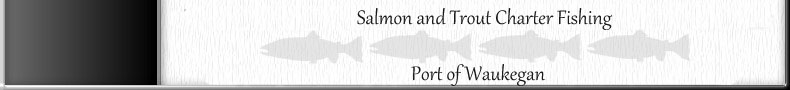 Great Lakes Illinois sport fishing, Chicago Lake Michigan Salmon Charters, and Lake Michigan Fishing Charters. Fishing for Chinook Salmon, Coho, Steelhead Salmon, Lake Trout and Brown Trout with Captain Rick Bentley of Independence Fishing Charters.